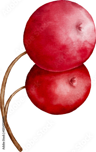 Watercolor Red Berries Elements