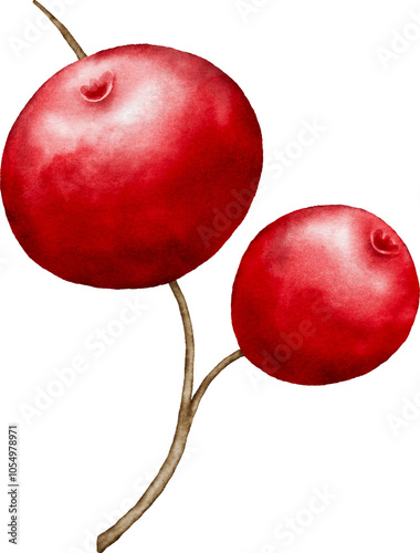 Watercolor Red Berries Elements