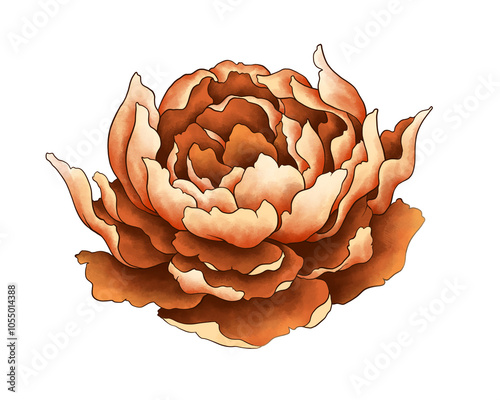 Flower Collection Illustration with Transparent Background. Colorful Spring Floral Set.