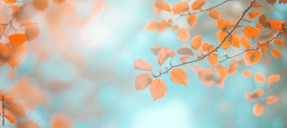 Autumn Leaves in Soft Focus Autumn Leaves in Soft Focus