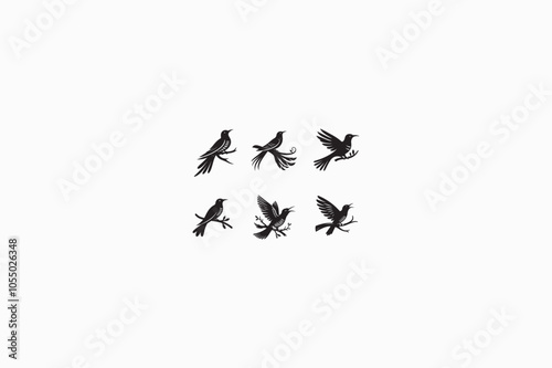 A Cuckoo birds vector silhouette image made by adobe illustrator.