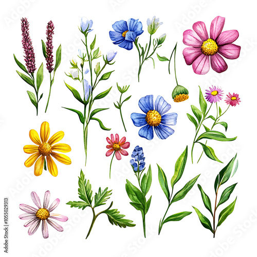 Plants and flowers in a isolated transparent background,Watercolor wildflowers and leaves illustration set, Set of wildflowers, Watercolor floral,wedding invitation, pattern,leaf,Nature clip art,Ai