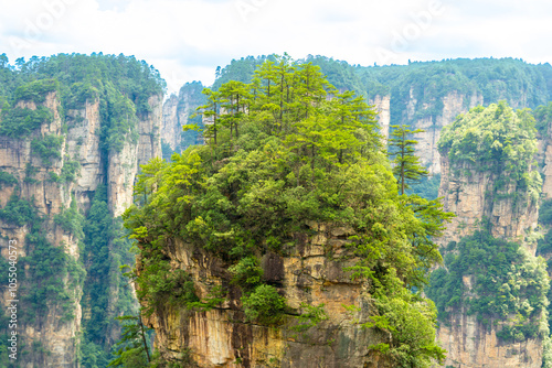 Majestic Mountain Peaks and Dense Forests in Zhangjiajie Scenic Area, Hunan, China