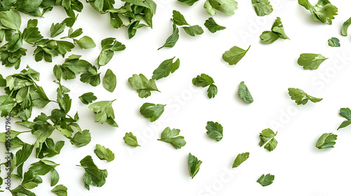 Fresh coriander leaves scattered on white background create vibrant and lively scene