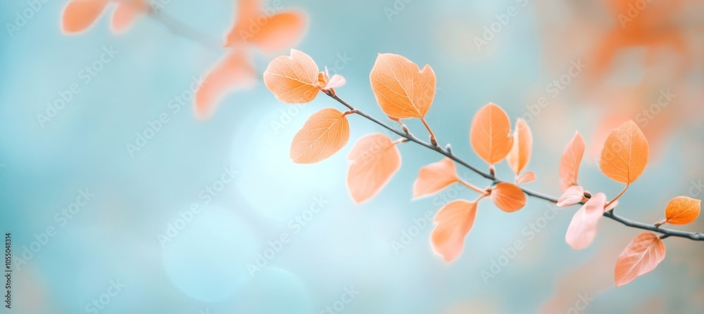 Fototapeta premium Autumn Leaves in Pastel Hues