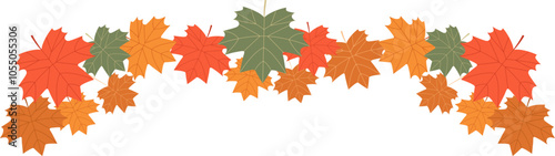 various colored autumn leaves