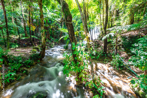 The natural background of trees and grass growing along the waterfall from the jungle, with clear water flowing through and the sound of birds and animals living together. photo