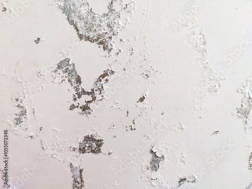 The white-painted wall shows signs of age as the paint peels and cracks due to lingering moisture. Dampness has softened the surface, revealing patches beneath, adding a weathered.