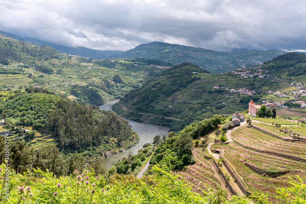 Fototapeta premium Serene Douro valley seen from Barqueiros viewpoint in Portugal