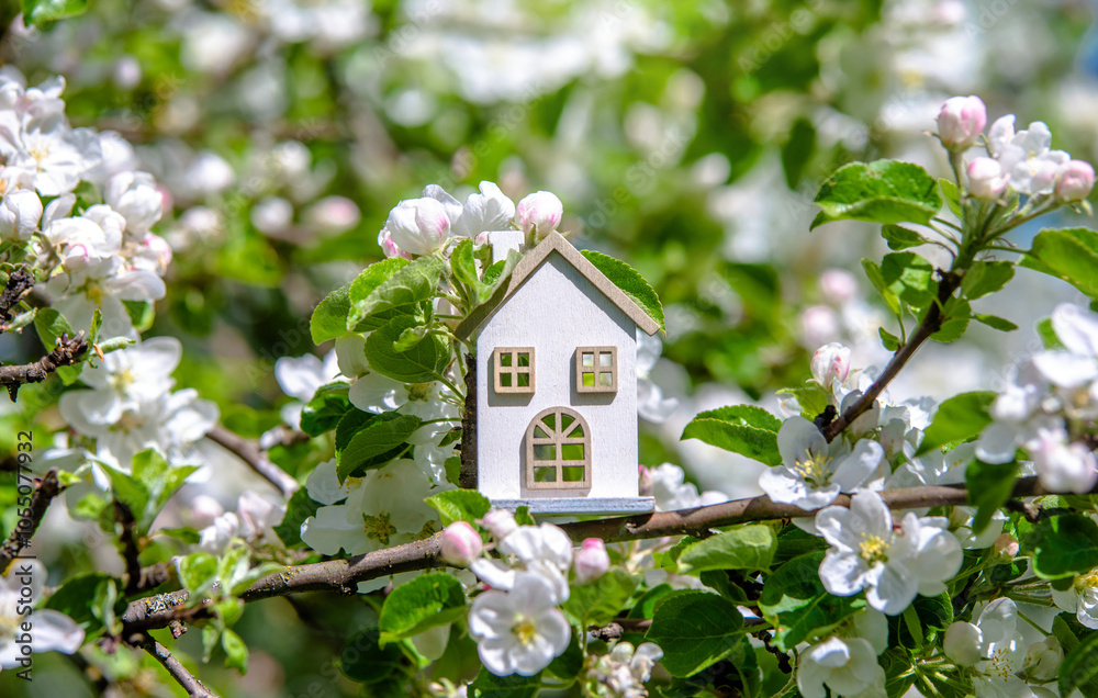 Symbol of the house on the branches of a flowering apple
Symbol of the house on the branches of a flowering apple