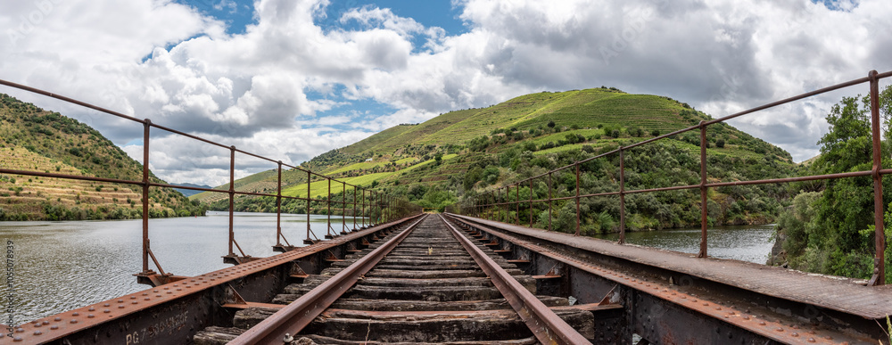 Obraz premium Old rusty closed train tracks leading through the Douro valley towards Porto