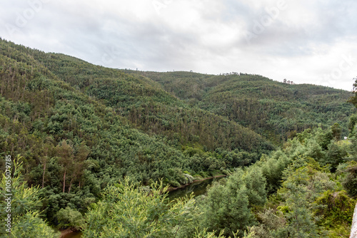 Mondego river flowing through a tranquil forest landscape