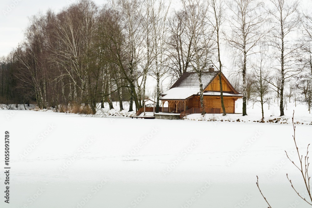 Frozen pond with a cottage near the village of Babice. Czechia.