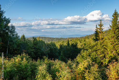 Southern Urals in summer, mountain view.