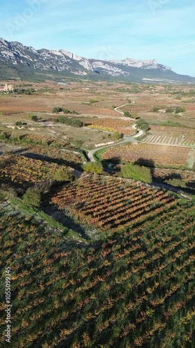 Aerial view of vineyards in autumn in the La Rioja appellation region of Spain.