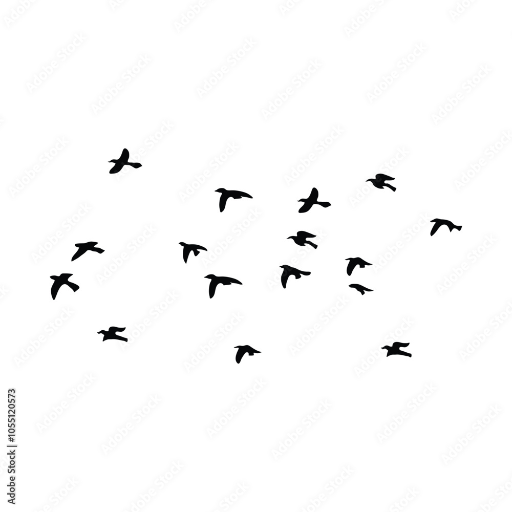 Many Birds Flying in the sky, birds silhouette. Many Birds Flying in the sky, birds silhouette.