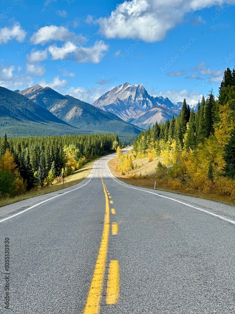 Fototapeta premium Canadian Highway in the mountains 