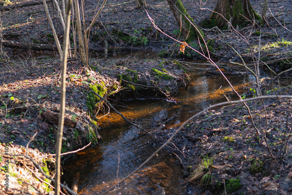 Small stream in the middle of the forest during winter season Small stream in the middle of the forest during winter season