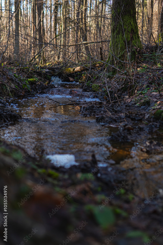 Small stream in the middle of the forest during winter season Small stream in the middle of the forest during winter season