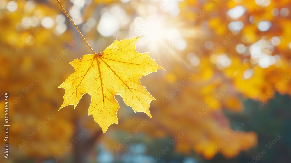 2410 54.A close-up of a golden yellow leaf hanging from a tree, with a blurred background of rich autumn colors. The bright, warm tones of the leaf and the soft light filtering through the trees 2410 54.A close-up of a golden yellow leaf hanging from a tree, with a blurred background of rich autumn colors. The bright, warm tones of the leaf and the soft light filtering through the trees