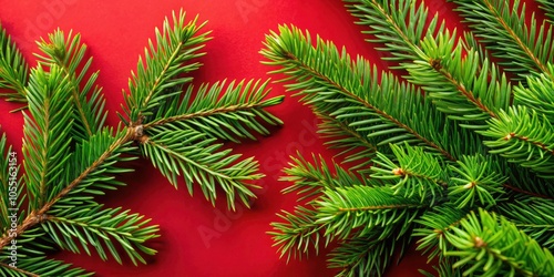 Festive Fresh Spruce Branches on Red Background for Holiday Ambiance, Christmas Decor Inspiration, Nature Photography, Seasonal Aesthetic, Vibrant Colors, Beautiful Holiday Elements