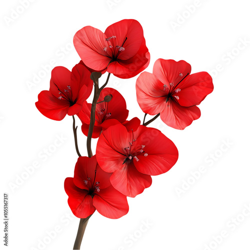 A cluster of five red flowers with a dark brown stem and a black background.