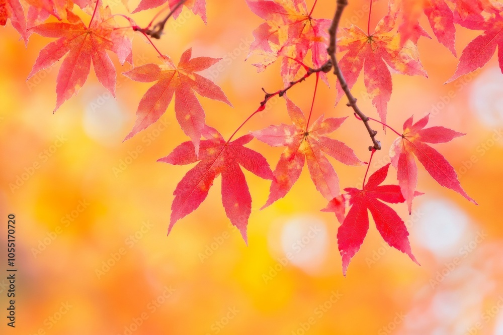Vibrant red autumn leaves on a branch against a blurred natural background. Vibrant red autumn leaves on a branch against a blurred natural background.