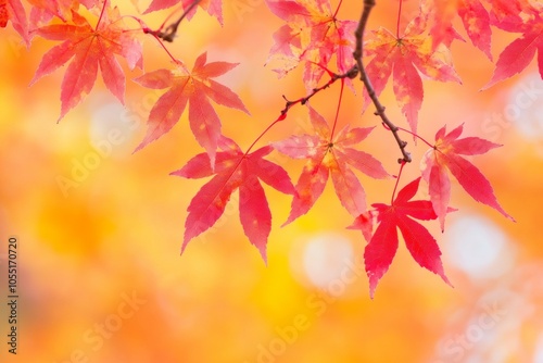 Vibrant red autumn leaves on a branch against a blurred natural background.