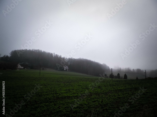 Foggy day in Wiezyca, Poland photo