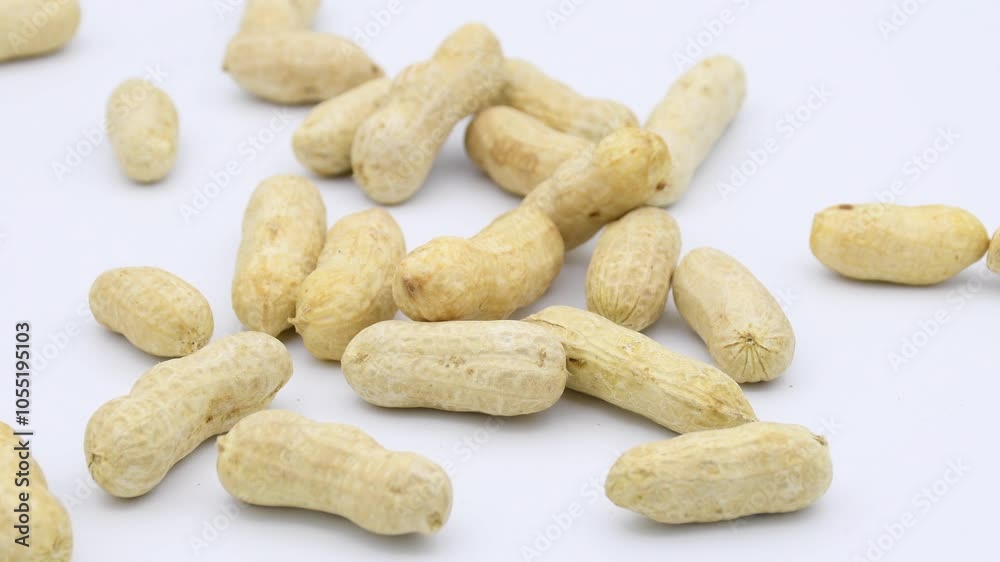 Fresh boiled peanut with whole shell isolated on white background. Fresh boiled peanut with whole shell isolated on white background.