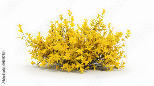3D Forsythia bush