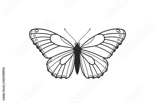 Elegant black and white butterfly illustration with detailed wings, perfect for designs and nature-inspired projects or educational purposes. photo