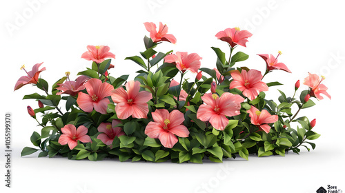 3D Hibiscus bush