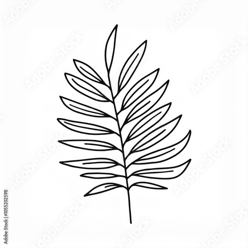 black tropical leaf outline line linear illustration hand drawn isolated on white