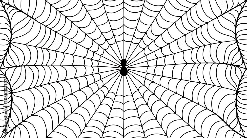 Fototapeta premium Seamless spider web. Connected black lines on white background