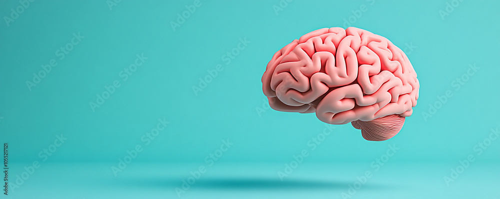 Human brain model on a vibrant blue background. Human brain model on a vibrant blue background.