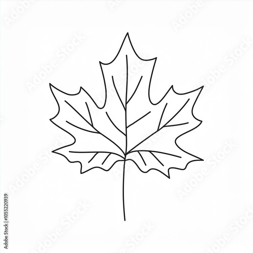 maple leaf outline hand drawn illustration isolated on white