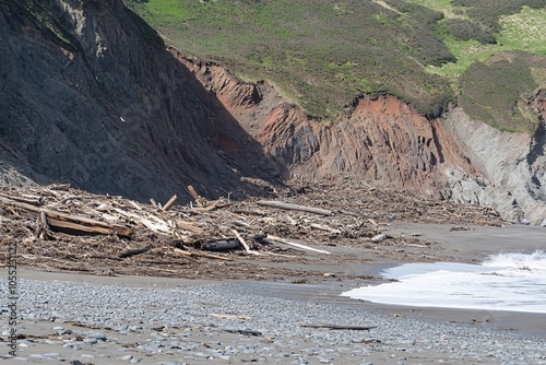 Coastal Erosion with Debris on Shoreline photo