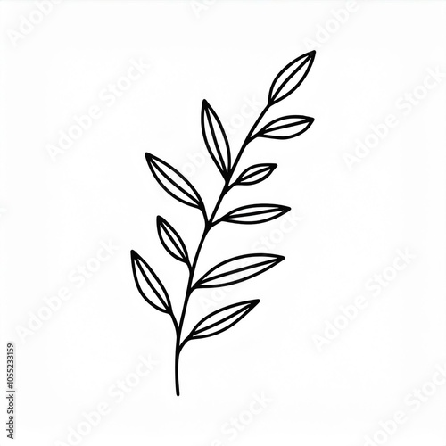 black hand drawn botanical leaves branch outline illustration element isolated on white