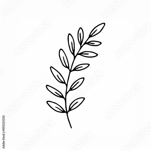 black hand drawn botanical leaves branch outline illustration element isolated on white