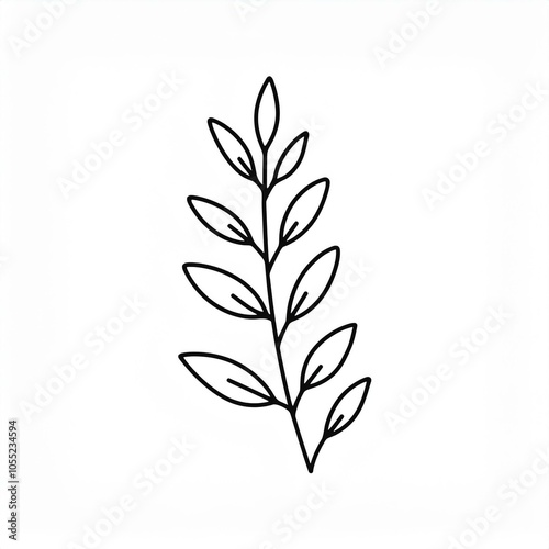 black hand drawn botanical leaves branch outline illustration element isolated on white