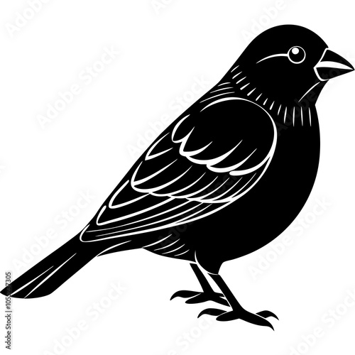 Finch Silhouette Vector on a White Background