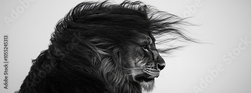 A majestic lion with windswept mane in black and white, looking powerful.
