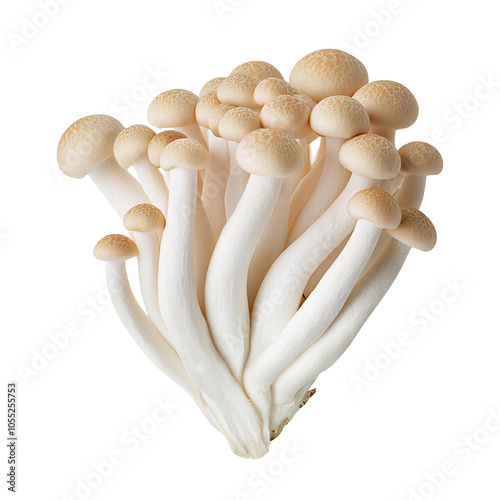 Fresh enoki mushrooms on a white isolated background. transparent background photo