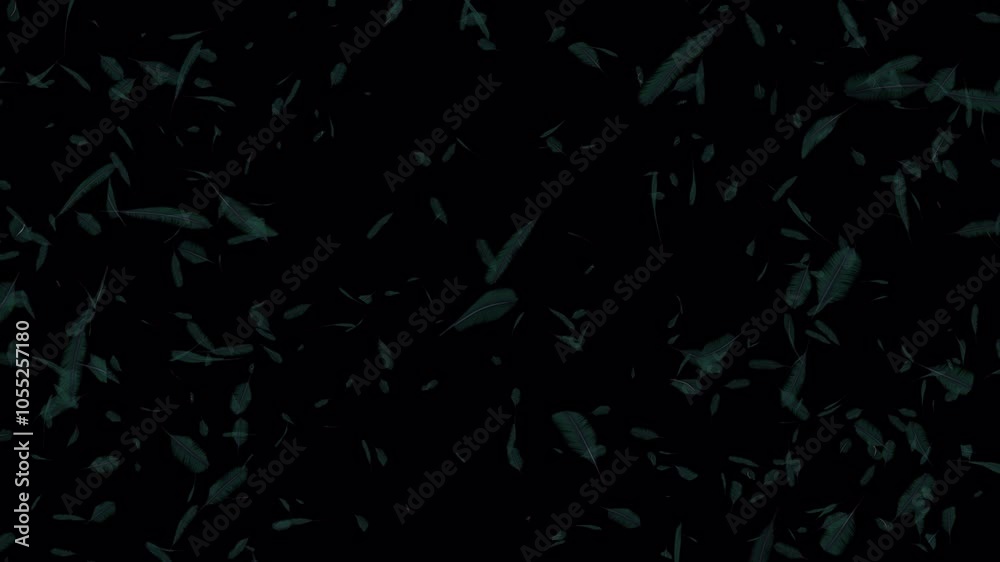 Feather Explosion. Burst of Feathers. Feather Shape Particle Blast. Transparent Background. Alpha Channel Feather Explosion. Burst of Feathers. Feather Shape Particle Blast. Transparent Background. Alpha Channel