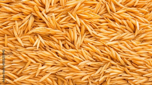 Golden Rice Grains Texture Background Close Up Macro Photography