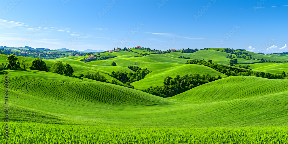 Panoramic green hills background Panoramic green hills background