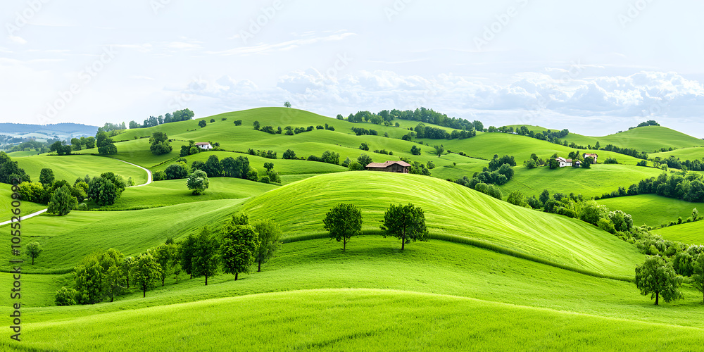 Panoramic green hills background Panoramic green hills background