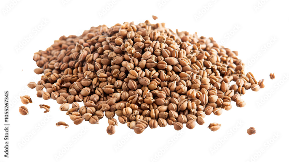 Buckwheat Seeds isolated on transparent background, PNG Buckwheat Seeds isolated on transparent background, PNG