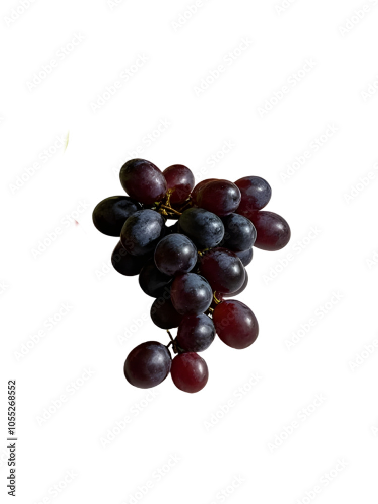 Fototapeta premium grape